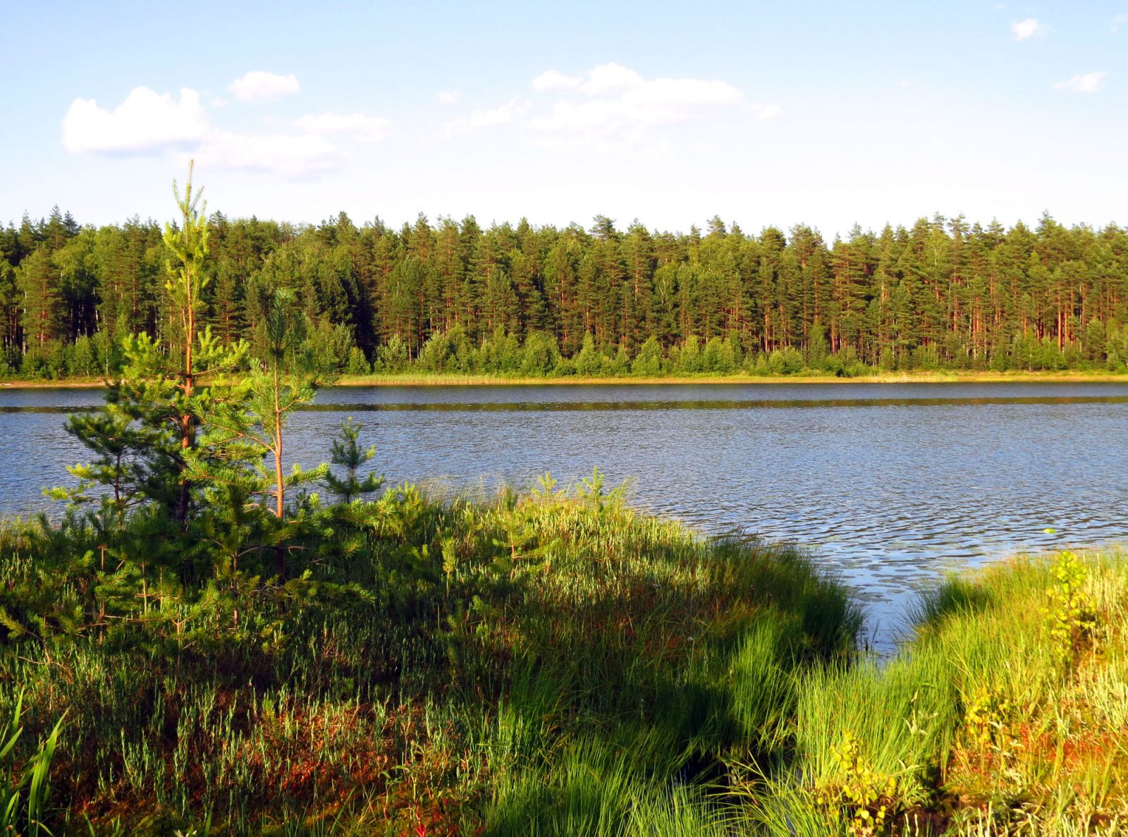 Широха озеро меленковский район фото