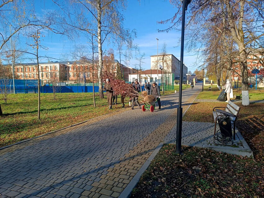 ПАРК 