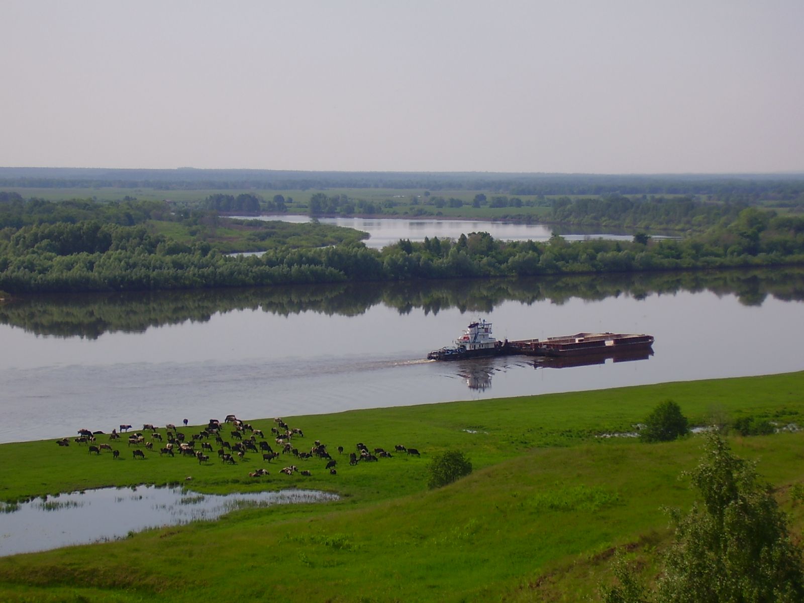 Село дмитриевы горы фото