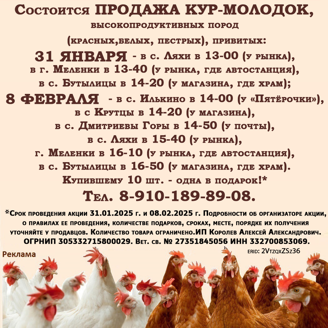 Продажа кур 29.01.2025