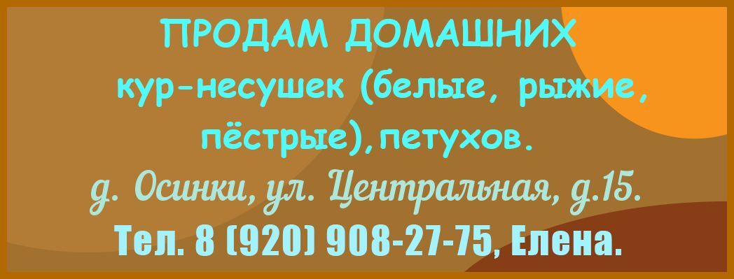 Продам кур с 05.08.2026г.