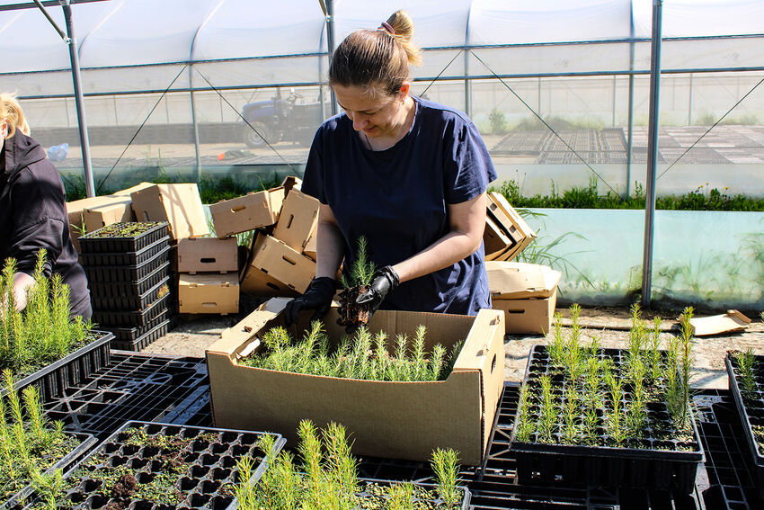IMG 7849